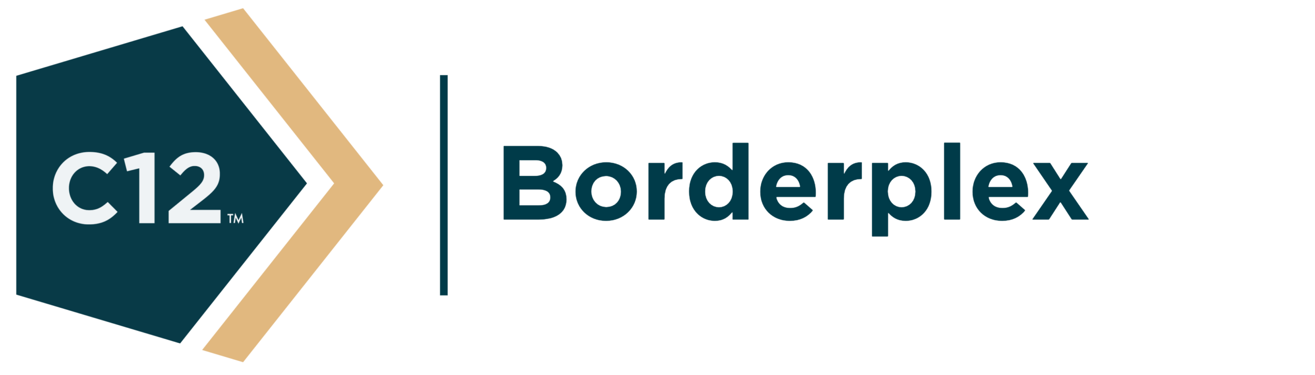 C12 Borderplex Logo 1 scaled